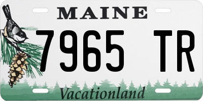 ME license plate 7965TR
