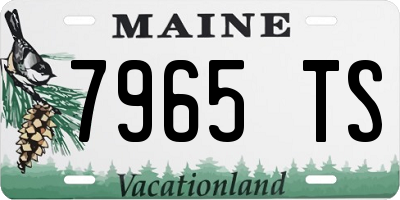 ME license plate 7965TS