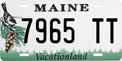 ME license plate 7965TT