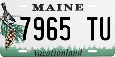 ME license plate 7965TU