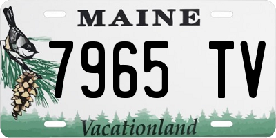 ME license plate 7965TV