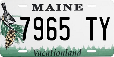 ME license plate 7965TY