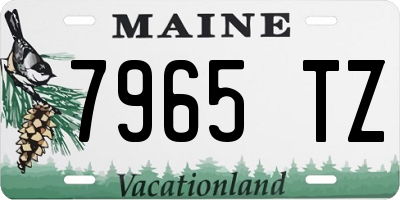 ME license plate 7965TZ