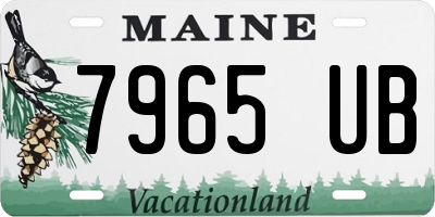 ME license plate 7965UB