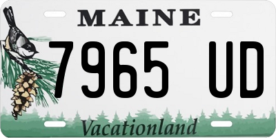 ME license plate 7965UD