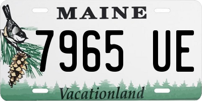 ME license plate 7965UE