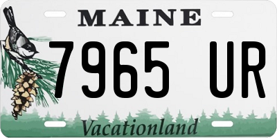 ME license plate 7965UR