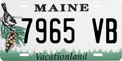 ME license plate 7965VB
