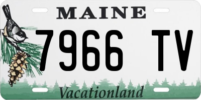 ME license plate 7966TV