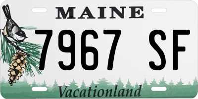 ME license plate 7967SF