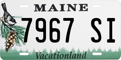 ME license plate 7967SI