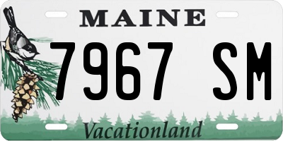 ME license plate 7967SM