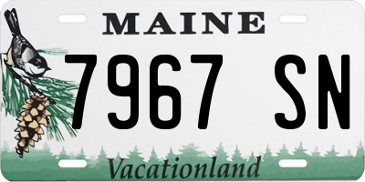ME license plate 7967SN