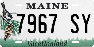 ME license plate 7967SY