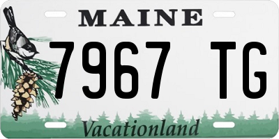 ME license plate 7967TG