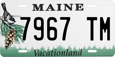 ME license plate 7967TM