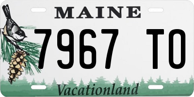 ME license plate 7967TO