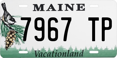 ME license plate 7967TP