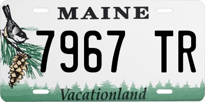 ME license plate 7967TR