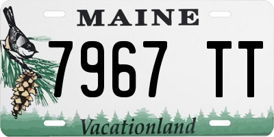 ME license plate 7967TT