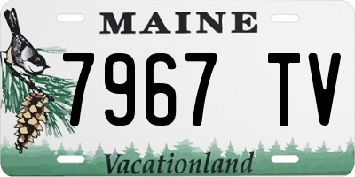 ME license plate 7967TV