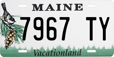 ME license plate 7967TY