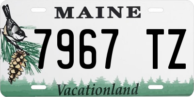 ME license plate 7967TZ