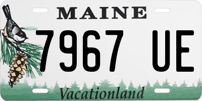 ME license plate 7967UE