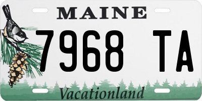 ME license plate 7968TA
