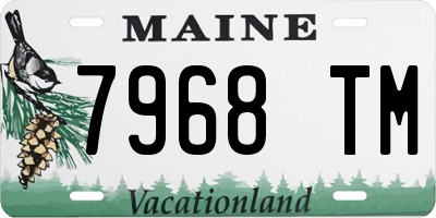 ME license plate 7968TM