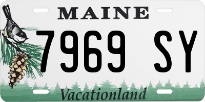 ME license plate 7969SY
