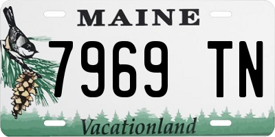 ME license plate 7969TN
