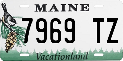 ME license plate 7969TZ
