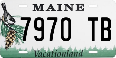 ME license plate 7970TB