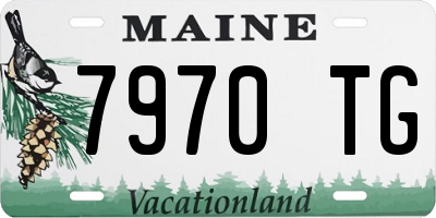 ME license plate 7970TG