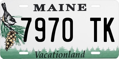ME license plate 7970TK
