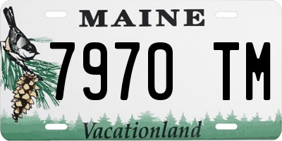 ME license plate 7970TM