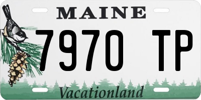 ME license plate 7970TP