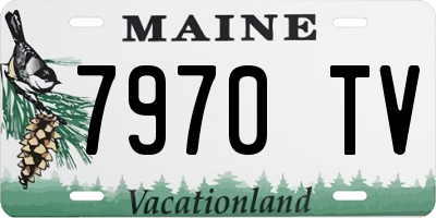 ME license plate 7970TV