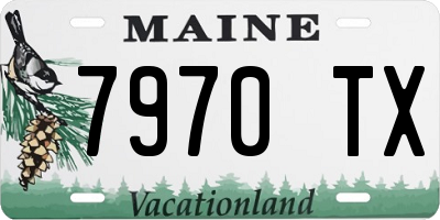 ME license plate 7970TX