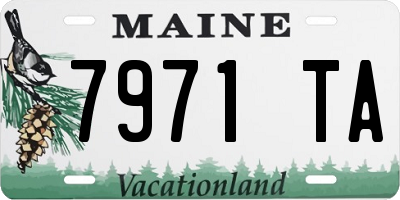 ME license plate 7971TA
