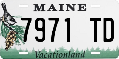 ME license plate 7971TD