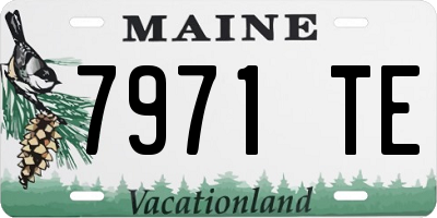 ME license plate 7971TE