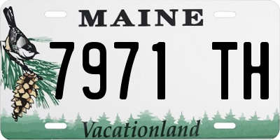 ME license plate 7971TH