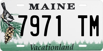 ME license plate 7971TM