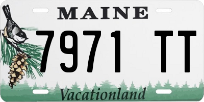 ME license plate 7971TT