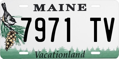 ME license plate 7971TV