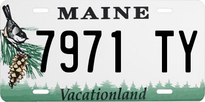 ME license plate 7971TY
