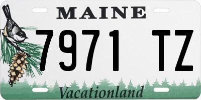 ME license plate 7971TZ