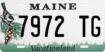 ME license plate 7972TG